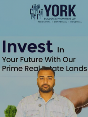 York City Sector 19 Panchkula Extension-2